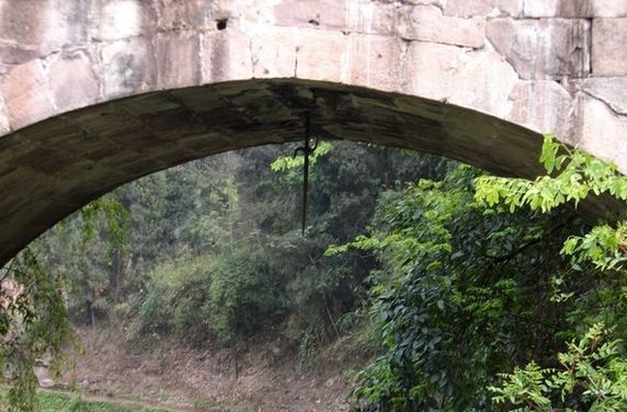 1467806307933178.jpg zhanlongbao.jpg