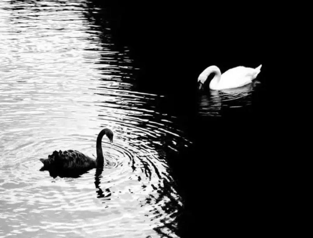 奇门解梦基础知识 阴阳理论