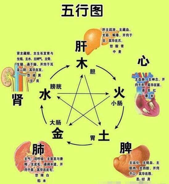 奇门解梦基础知识 五行理论