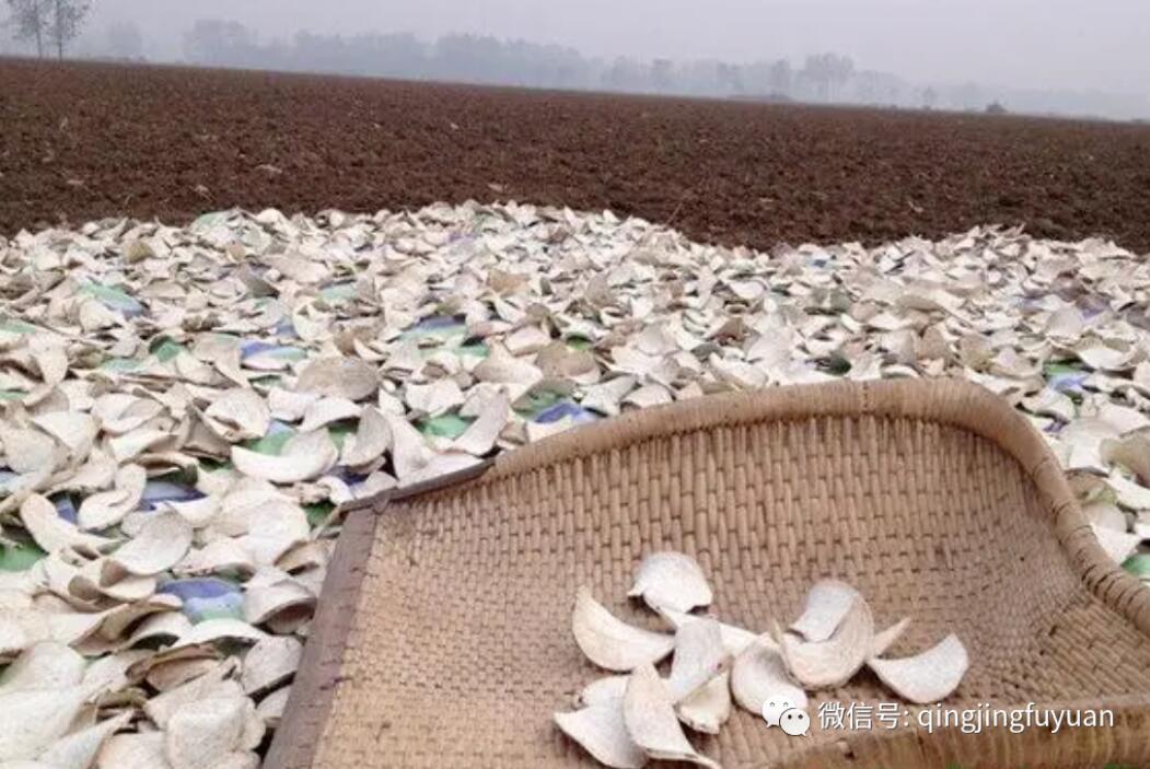 老物件的记忆:红薯推子