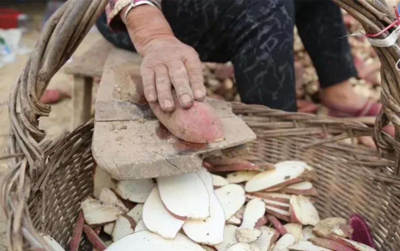 老物件的记忆：红薯推子