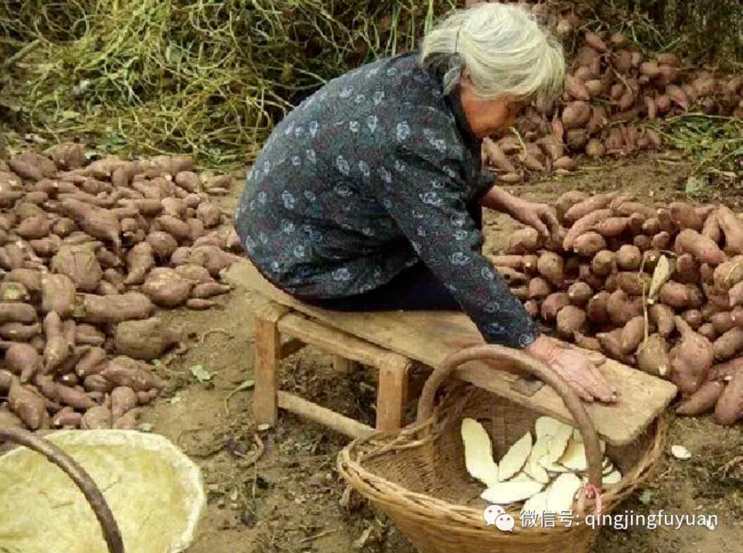 老物件的记忆:红薯推子