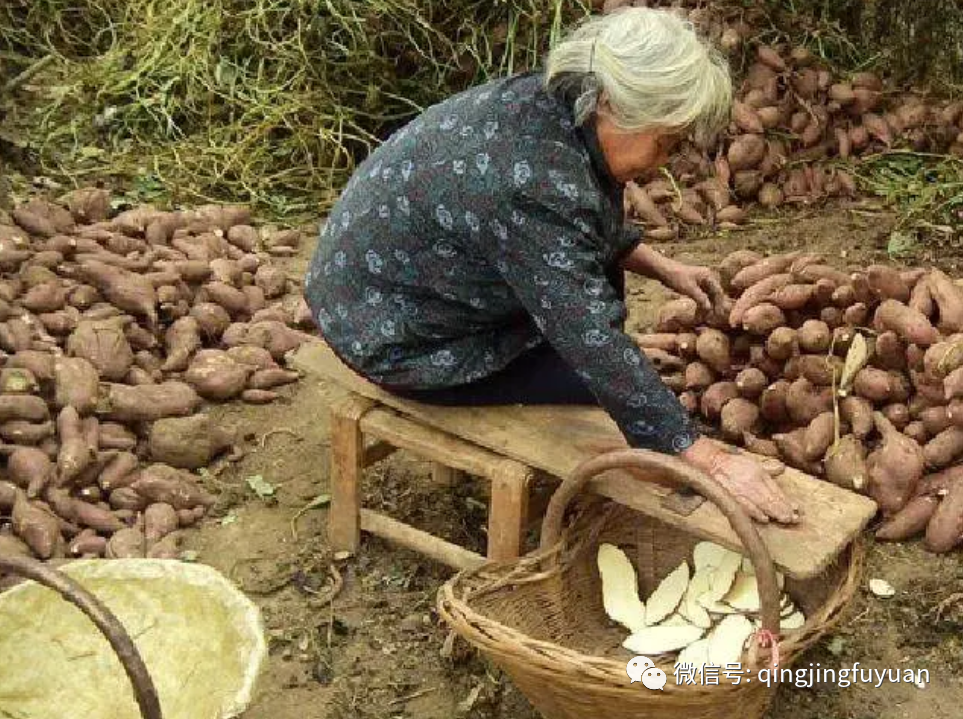 老物件的记忆:红薯推子