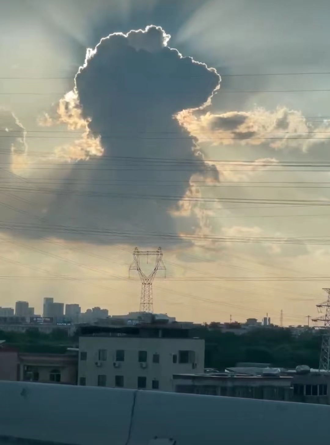 什么？三伏天抓紧晒太阳！不是在开玩笑吗？