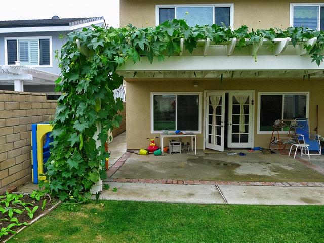 农家院子,穷装素颜生活也可以过成诗