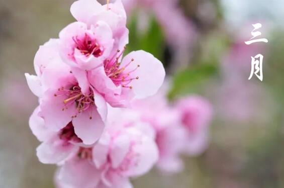 桃木为什么能辟邪