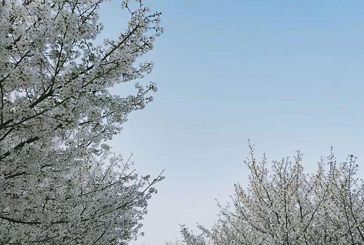 明清奇案:乌纱帽鸣冤告暗状,蔡知县奇谋慰冤魂