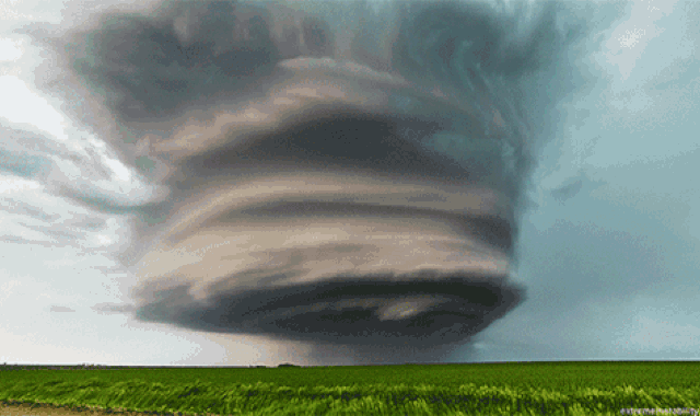 死后100天,旱魃的传说2