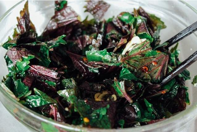 紫苏和藿香是个宝,但却傻傻分不清?资深吃货为你详解它们的吃法