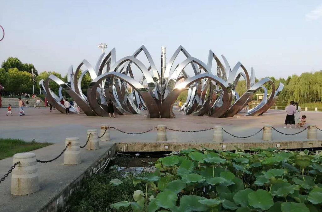 周口市市树市花的来历