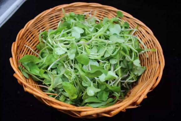 冬吃萝卜,怎么吃?