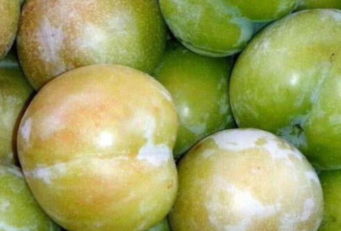 最酸的几种水果,脾胃不好的还是少吃为妙!