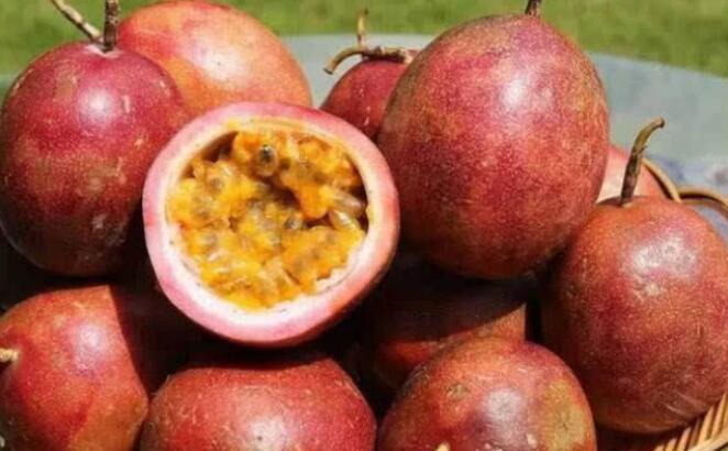 最酸的几种水果,脾胃不好的还是少吃为妙!