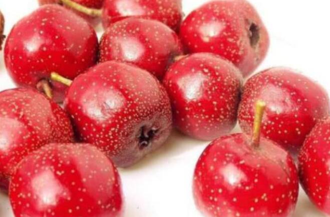 最酸的几种水果,脾胃不好的还是少吃为妙!