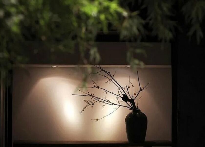 瓶如美人，梅美千年