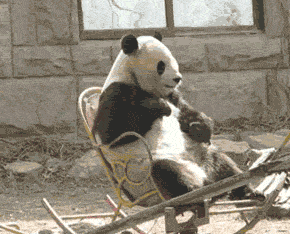 孟婆和孟婆汤的传说：孟婆改革5