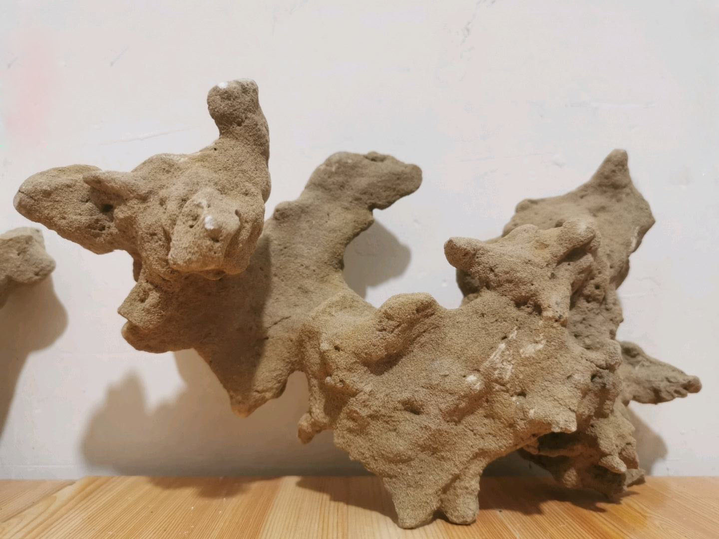 砂礓石与砂礓猴