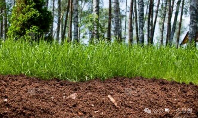 八字神煞详解,为什么甲木遇丑未为天乙贵人?