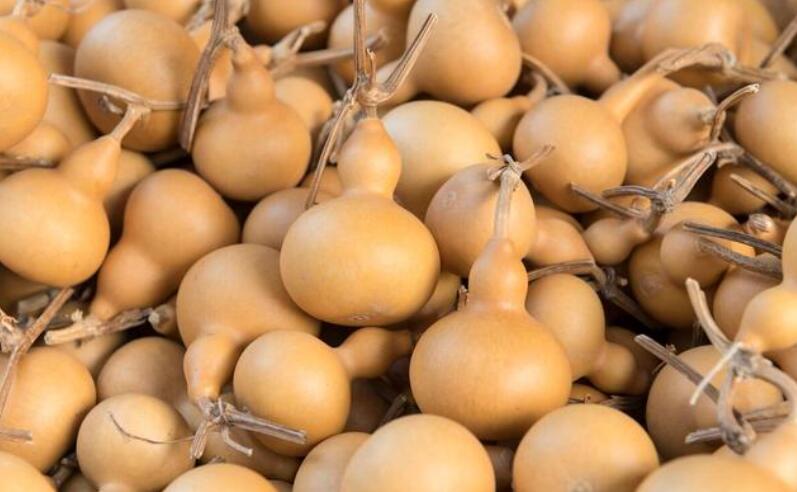 金钱吊葫芦,准主福禄寿