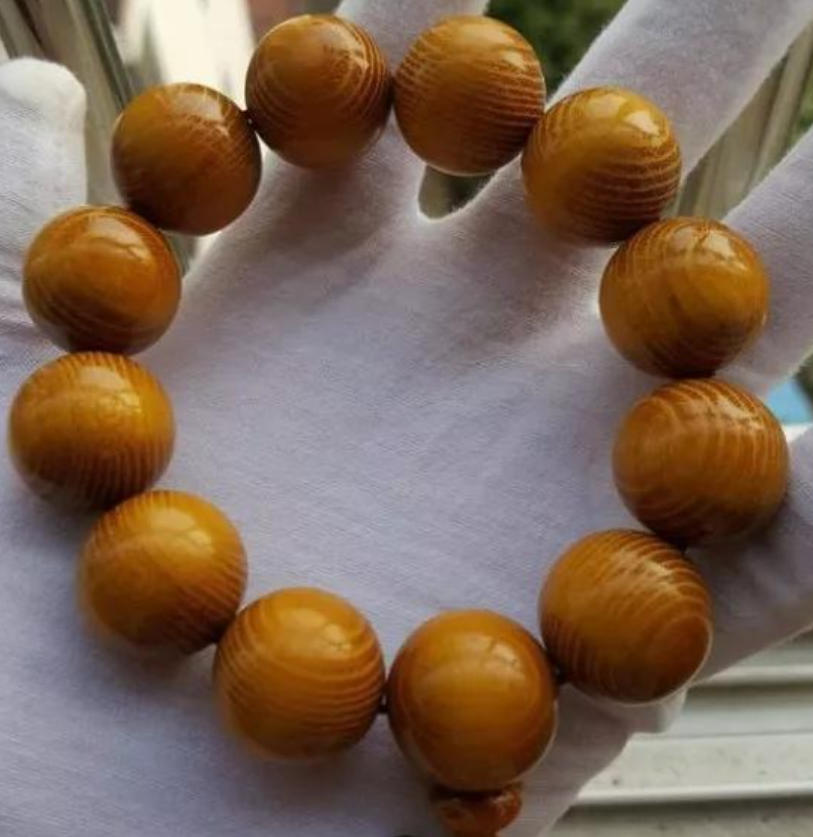 柘木为什么称为帝王之木？