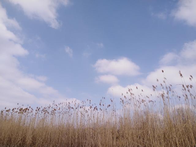 禹都阳城-周口市商水县