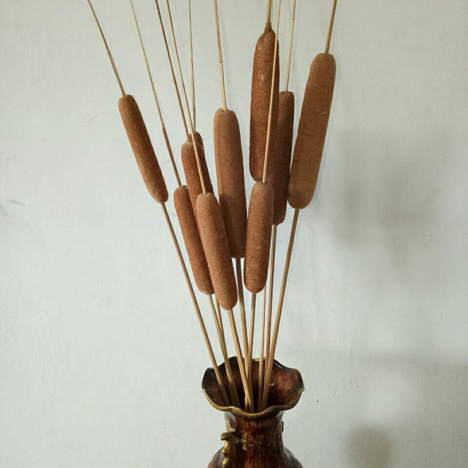 蒲棒嘞风水气场